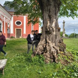 Naši žiaci skrášľovali Kalváriu - Týždeň dobrovoľníctva na SPŠE Prešov