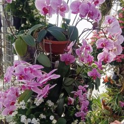 Mobilita ERASMUS + BRNO 2026