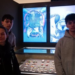 Mobilita ERASMUS + BRNO 2026