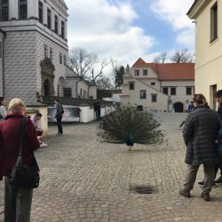 Pozdravujeme z Pardubíc
