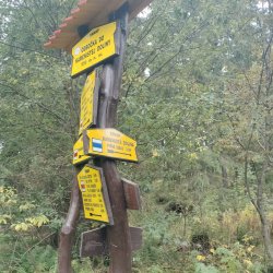🌿 Učíme sa prírodou a v prírode 🌲